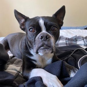 Meet your Posher, Anthony